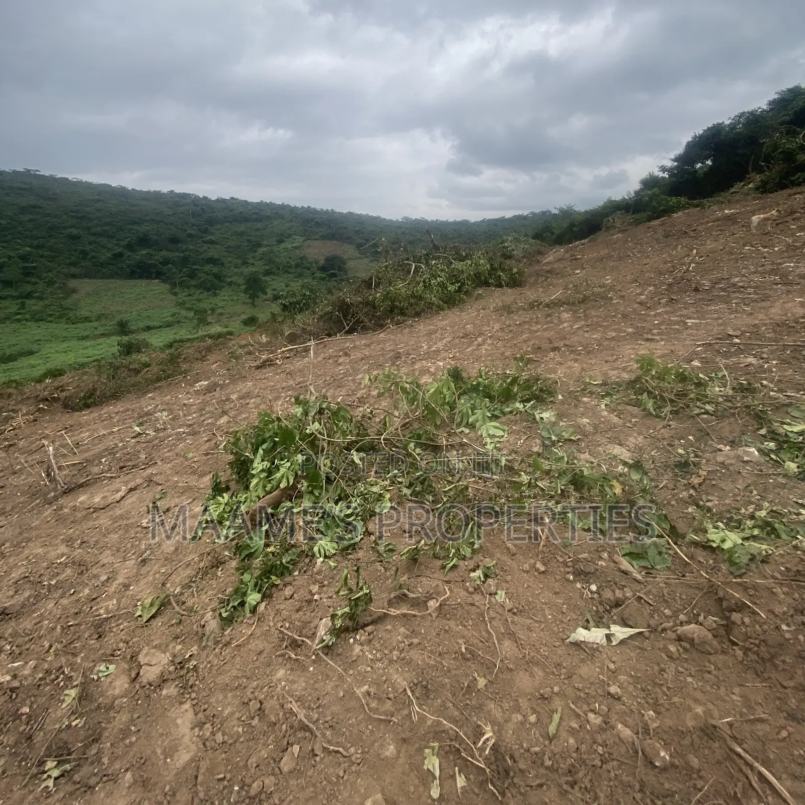 Acres of Land in Aburi, Per Plot Is 60,000 GHS