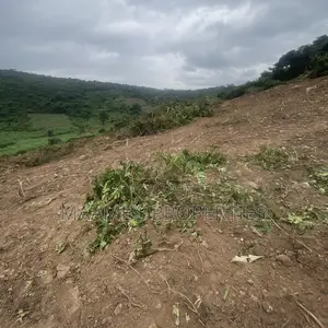 Acres of Land in Aburi, Per Plot Is 60,000 GHS