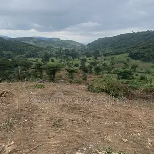 Acres of Land in Aburi, Per Plot Is 60,000 GHS