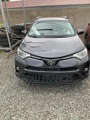Toyota RAV4 2017 Gray