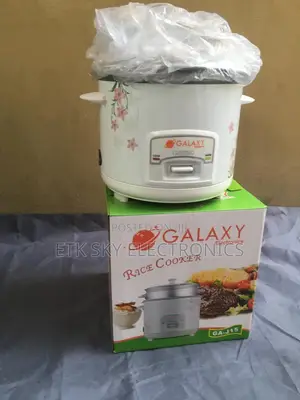 Immersing Zara 1.5l Electric Rice Cooker