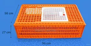 Transport Cage