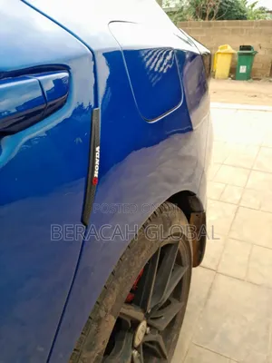 Car Door Gaurds
