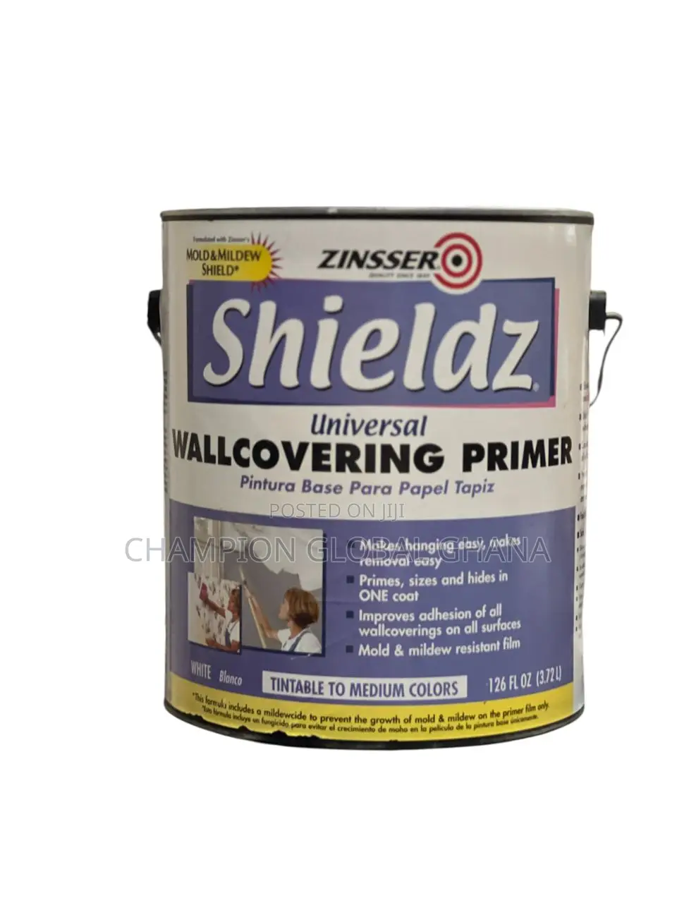Mold and Mildew Paint