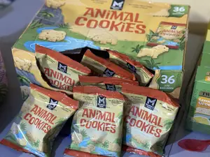 Animal Cookies