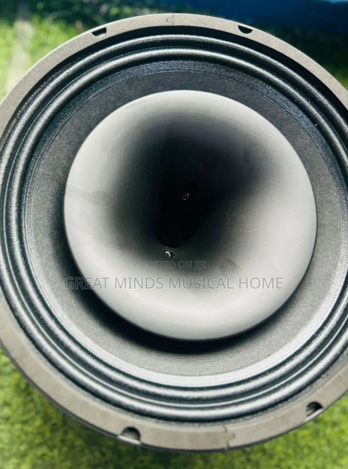 Jac Jt120 12" Coaxial Naked Speakers