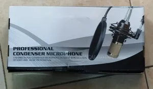 Professional Condenser Microphone Set