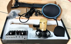Professional Condenser Microphone Set