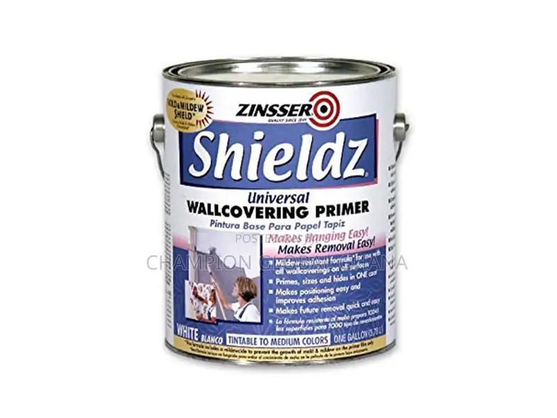 Mold and Mildew Paint