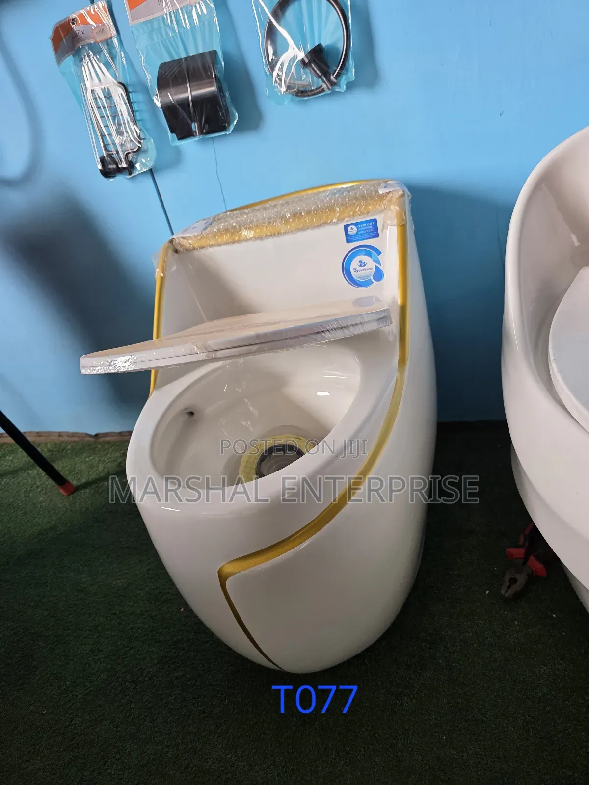 Luxury Toilet Sanitary Ware