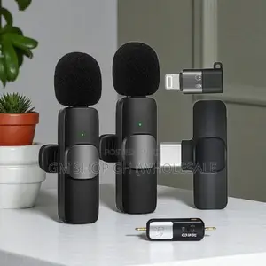 Generic Long Battery Life 2 in 1 Microphone (658557)
