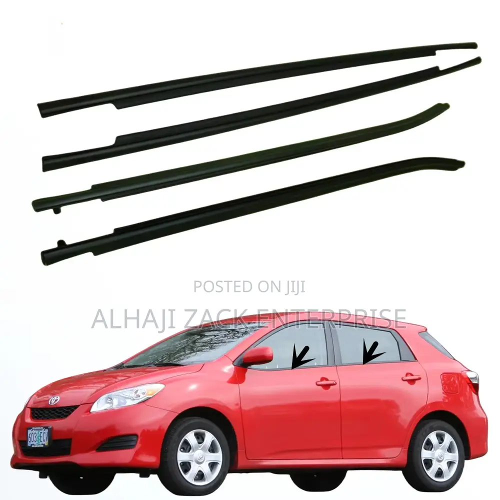 Toyota Matrix 2010 Door Strip