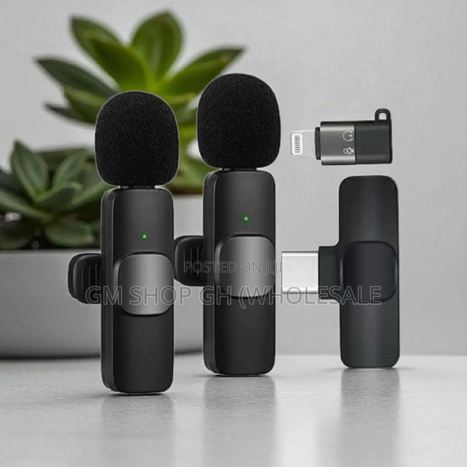 Wireless 2 in 1 Wireless Microphone (574332)
