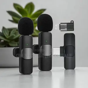 Wireless 2 in 1 Wireless Microphone (574332)