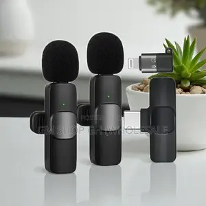 2 in 1 Wireless Microphone With Long Battery Life (35688)