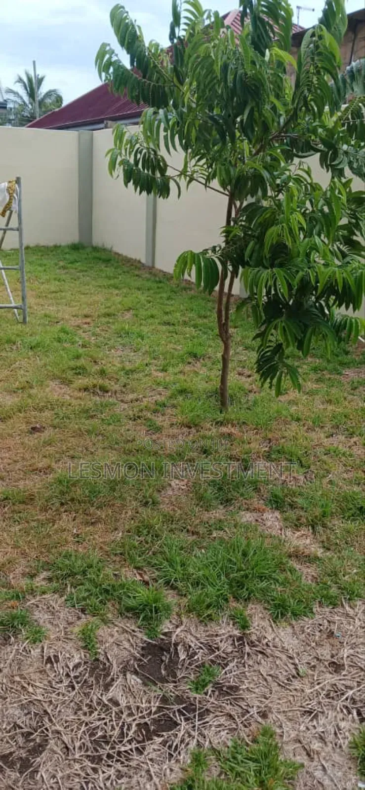4bdrm House in Tseaddo for rent