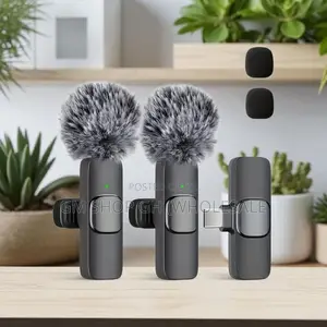 Long Battery Life All in 1 Microphone (46896)