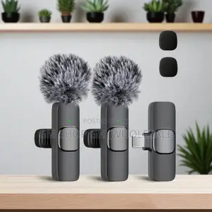 All in 1 Wireless Microphone (35778)
