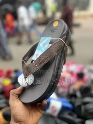 Brown Quickshark Slides
