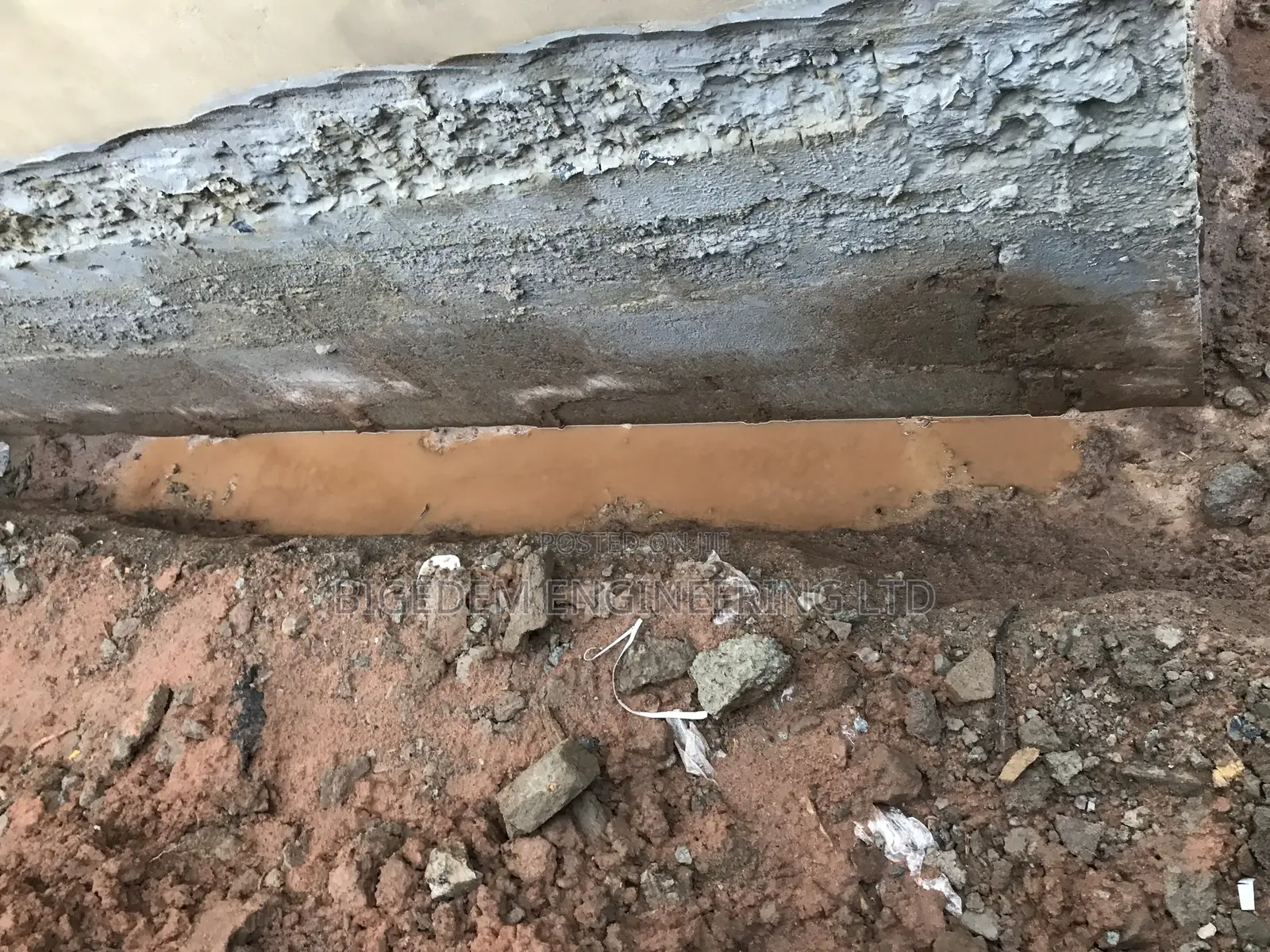 Dampness ( Mold Mildew) Treatment Expert