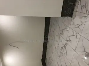 Damped Walls Treatment Expert