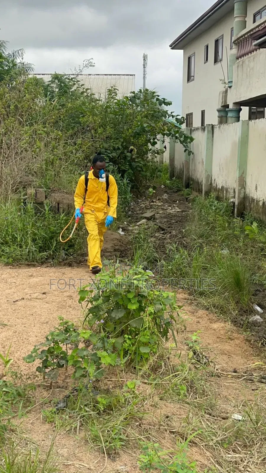Asking Fosu/Mankesim Fumigation With Cleantex