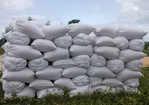 Yellow Maize for Sale in 50kgs
