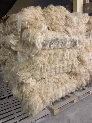 P.O.P Fiber