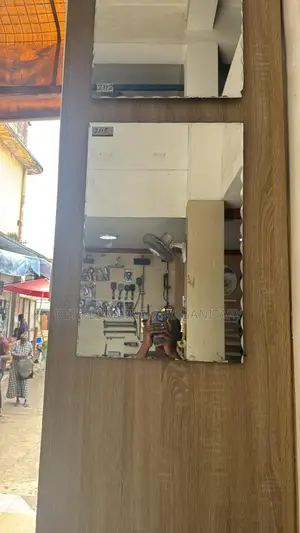 Arc Mirror_plane Mirror