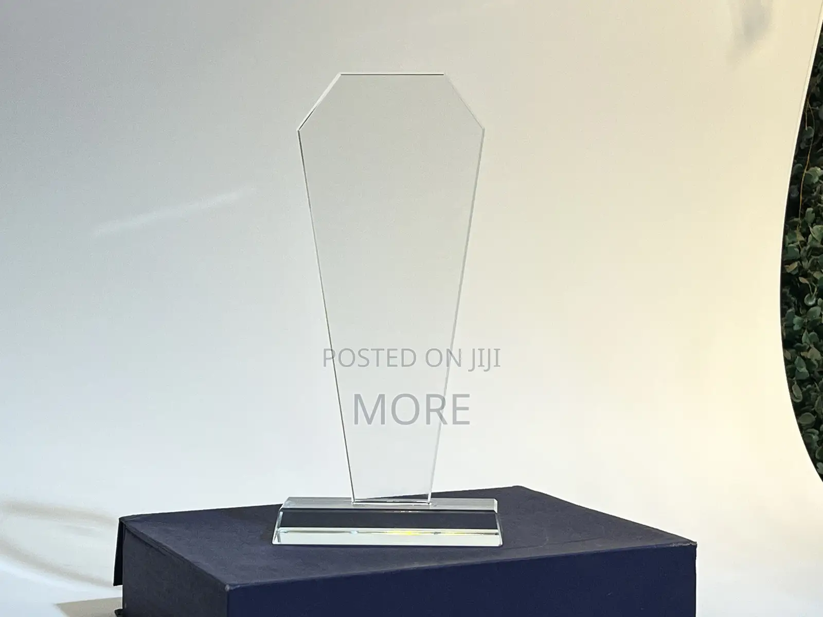 These Are Plaques