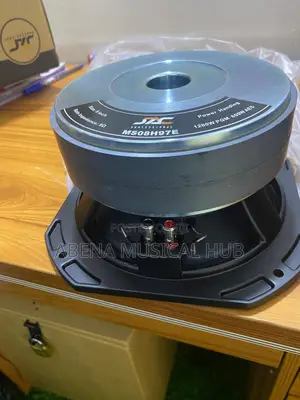 8 Inches Naked Speaker (Double Magnet)