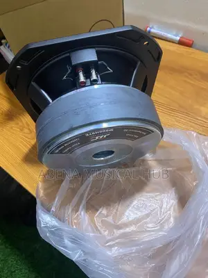 8 Inches Naked Speaker (Double Magnet)