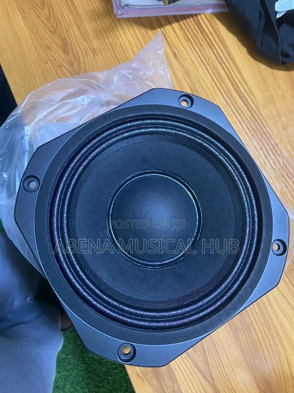 8 Inches Naked Speaker (Double Magnet)