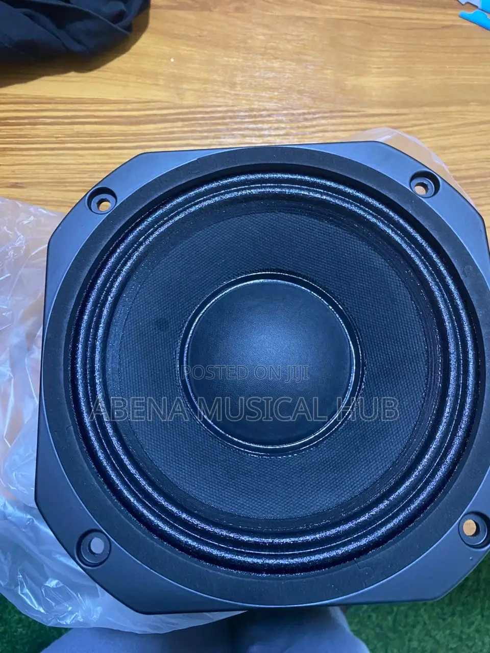 8 Inches Naked Speaker (Double Magnet)