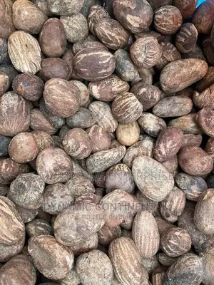 Dried Shea Nuts