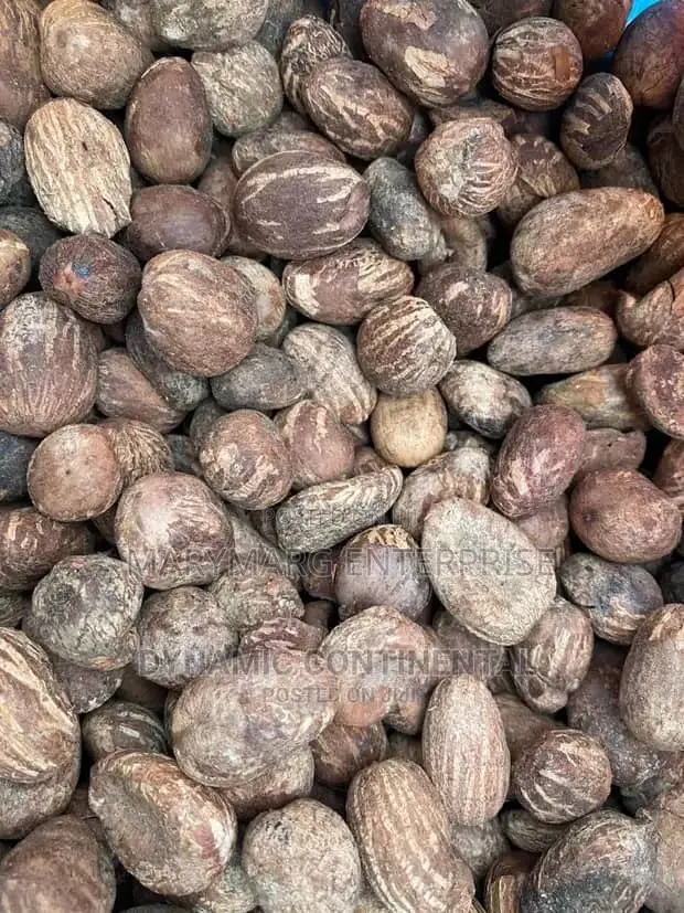 Dried Shea Nuts