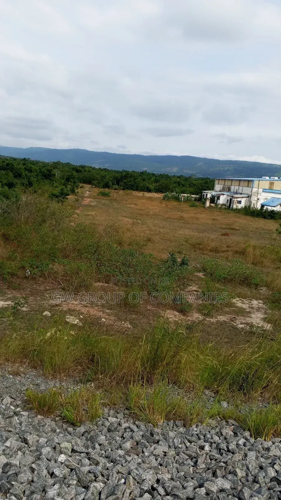 Buy You Dodowa Land Now Before the Prices Go Up
