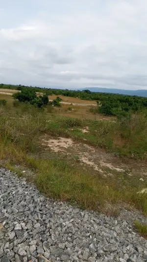 Buy You Dodowa Land Now Before the Prices Go Up