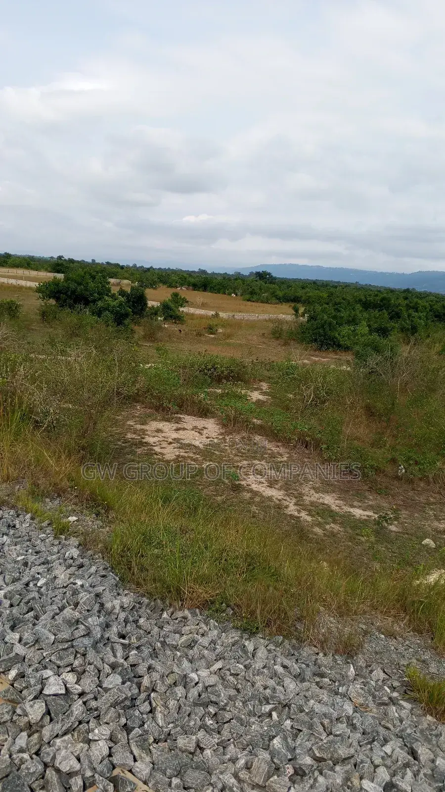 Buy You Dodowa Land Now Before the Prices Go Up