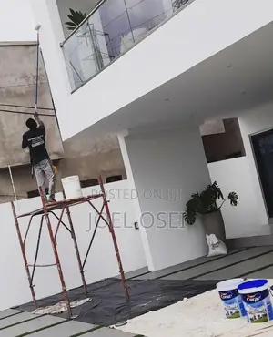 Professional Painter