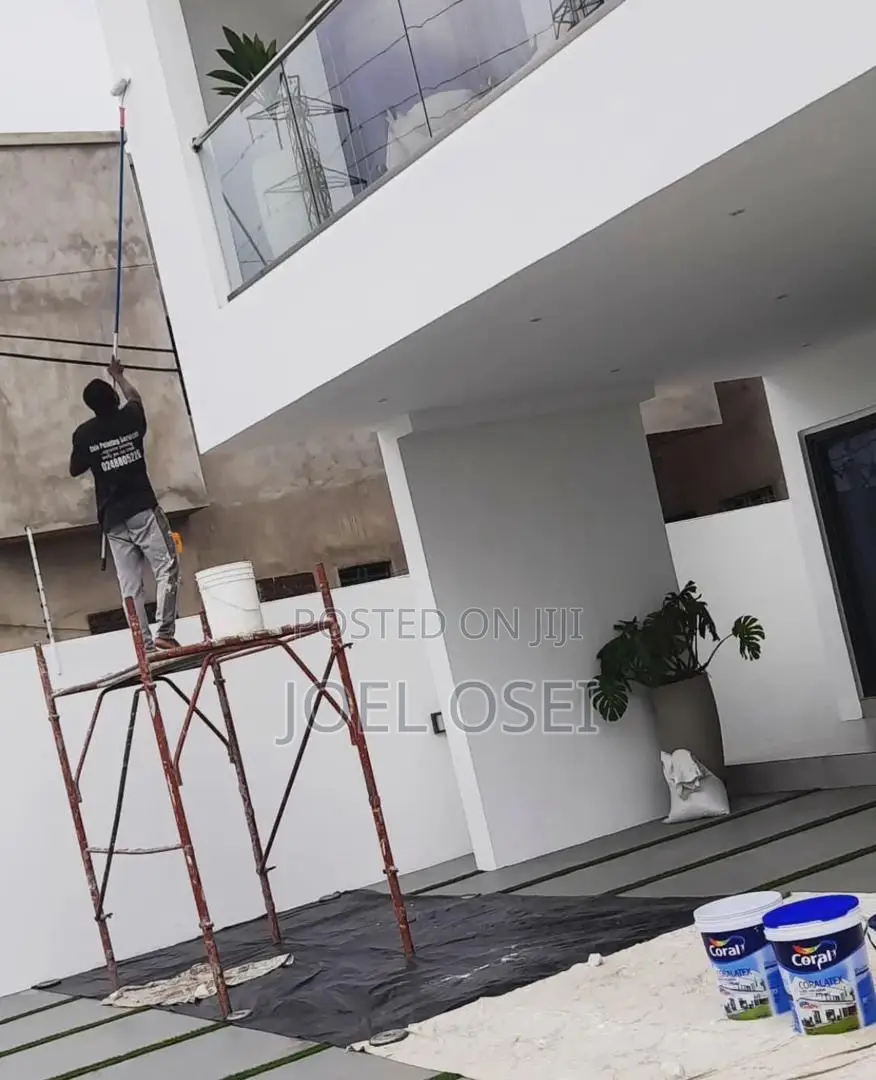 Professional Painter