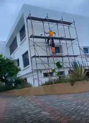 Professional Painter