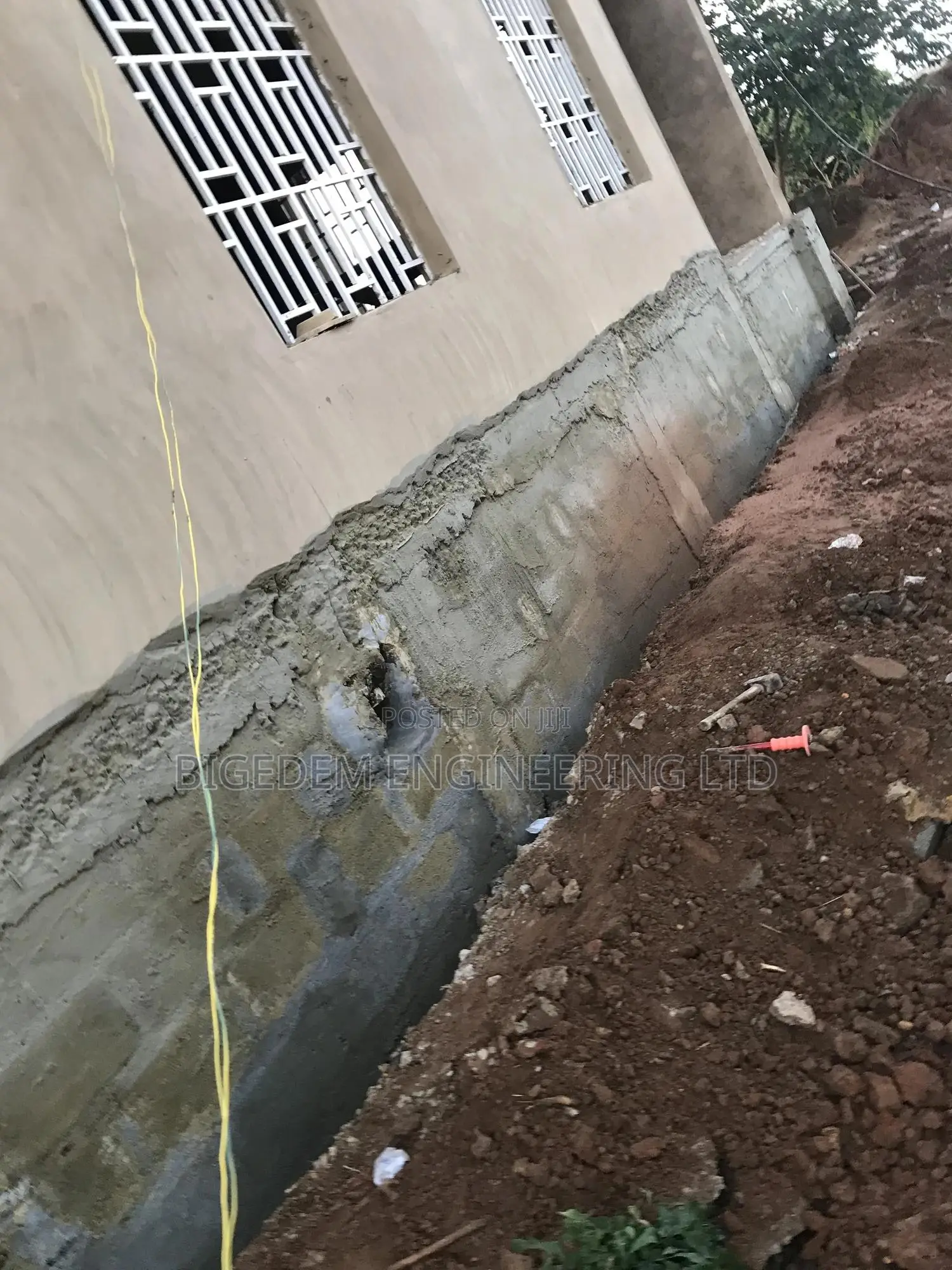 Dampness ( Mold Mildew) Treatment Expert