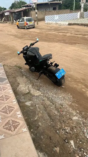 Kawasaki 2016 Black