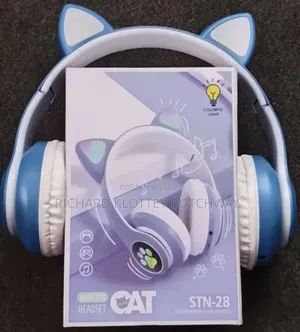 Wireless Cat Headset