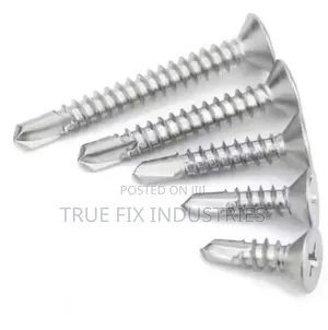 Self Driiling Stainless Steel Flat Screws
