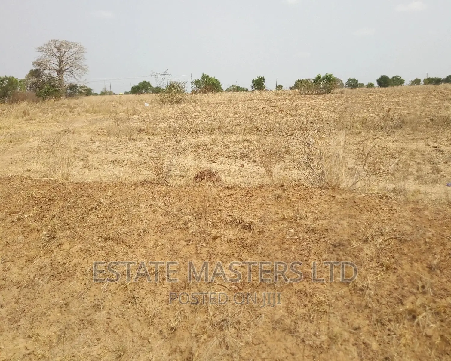 Nice Estate Plots