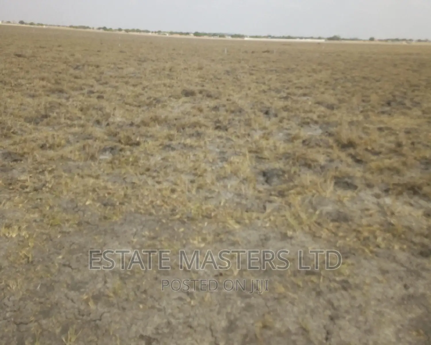 Nice Estate Plots
