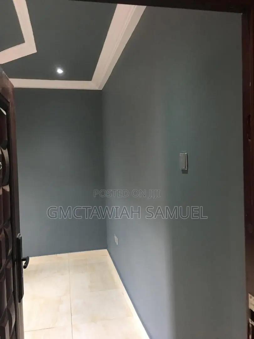 Professional Painter