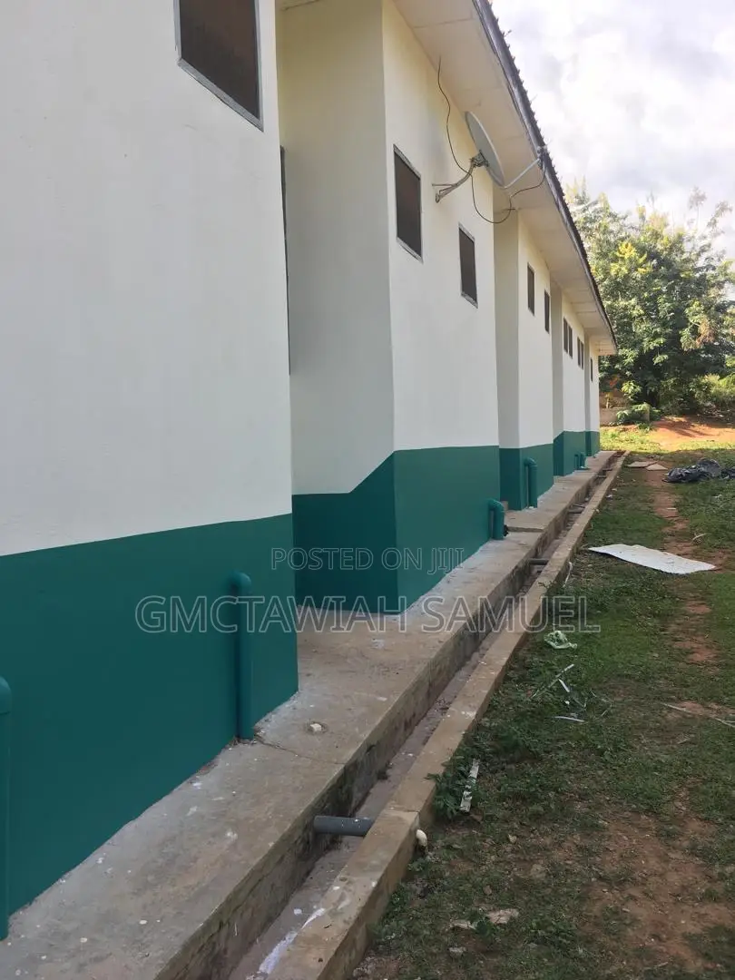 Professional Painter